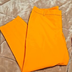 Express Orange dress pants